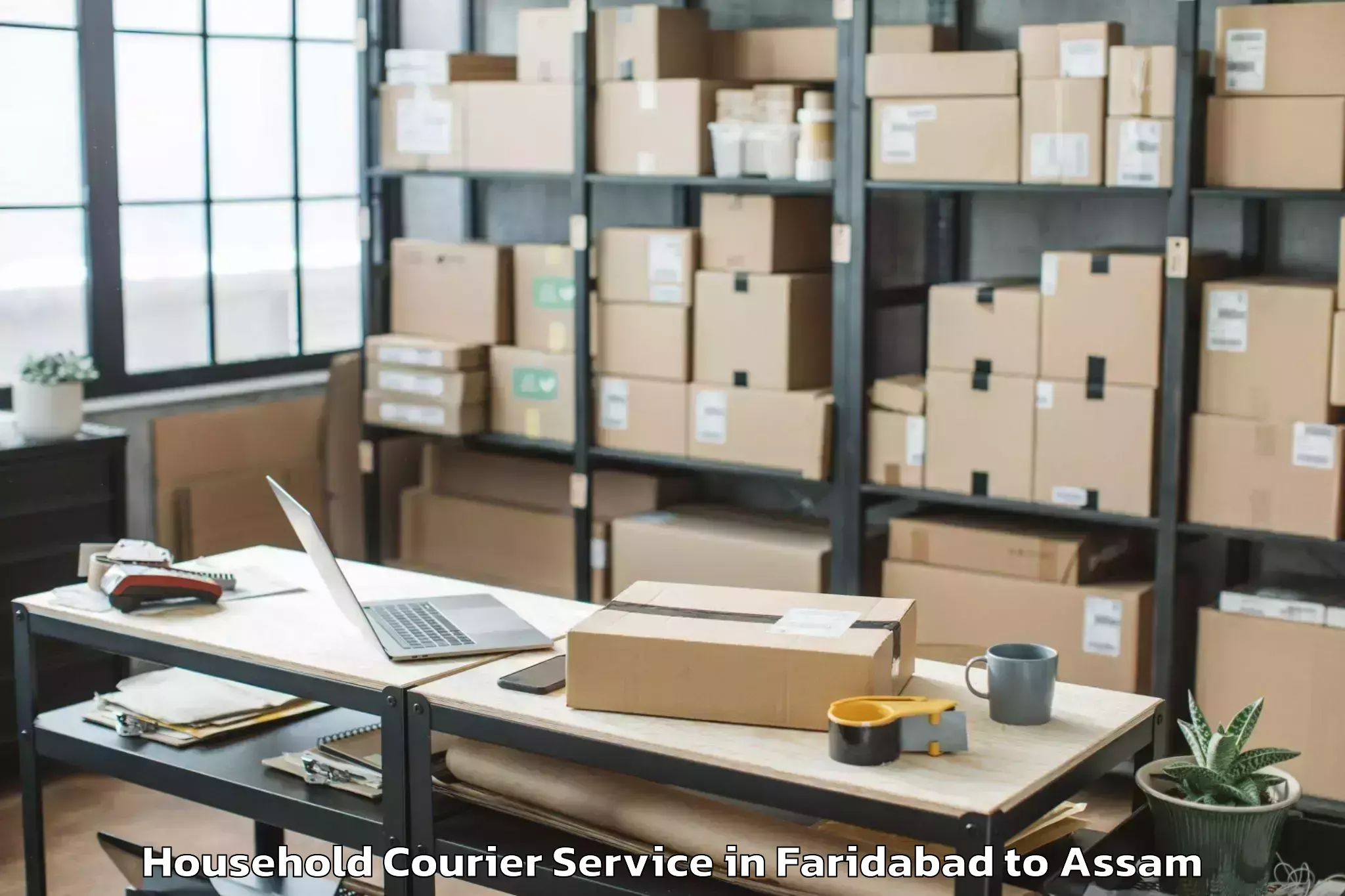 Comprehensive Faridabad to Laharighat Household Courier